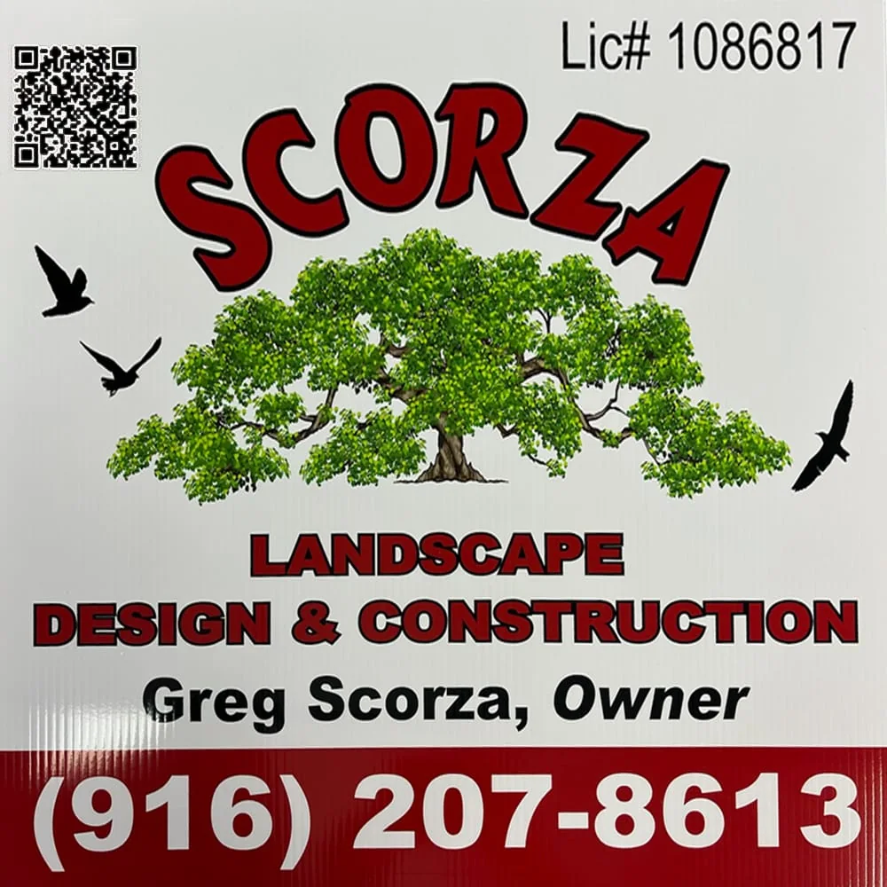 Sign for Scorza Landscape Design and Construction with license number and QR code